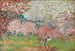 Cherry Blossoms in Cagnes - Louis Valtat — artwork view