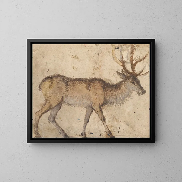 Study of a stag - Lucas Cranach the Elder — framed artwork on a wall