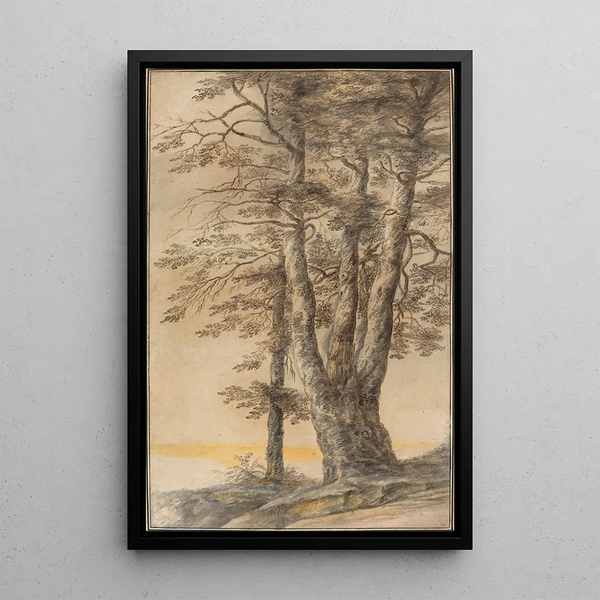 Tree Study - Lucas van Uden — framed artwork on a wall