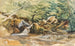 Study of torrent and shrubs - Ludwig Correggio — artwork view