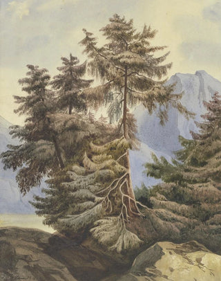 Ludwig Daniel Philipp Schmidt - Three fir trees in the mountains.webp