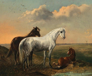 a white horse and a bay horse in a puszta landscape - Ludwig Kübler — artwork view