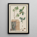 Flower, Fruit, and Oak Trunk Studies, Pedunculate Oak Quercus robur - Ludwig Pfleger — framed artwork on a wall