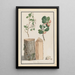 Studies of the trunk, flowers, and fruits of a wild apple tree Malus sylvestris - Ludwig Pfleger — framed artwork on a wall