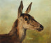 Doe Head - Ludwig Voltz — artwork view