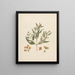 Avicennia marina Forssk. & Vierh. - Luigi Balugani | Painting — framed artwork on a wall