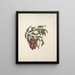 Bersame abyssinica Fresen. - Luigi Balugani — framed artwork on a wall
