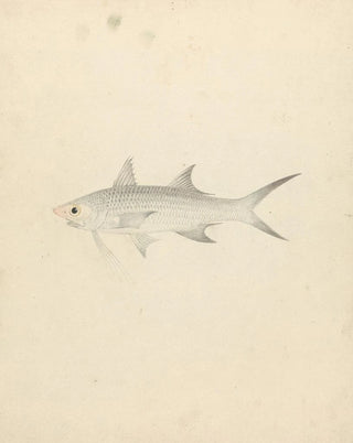 Luigi Balugani - Binney number one.webp