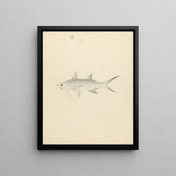 Binney numéro un - Luigi Balugani — framed artwork on a wall
