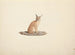 Caracal caracal - Luigi Balugani — artwork view