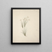 Chloris - Luigi Balugani — framed artwork on a wall