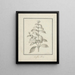 Coffee Arabica L. Arabica Coffee drawing of sprouting leaves and berries - Luigi Balugani — framed artwork on a wall