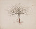 Baume de Galaad - Luigi Balugani — artwork view
