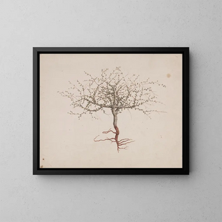 Baume de Galaad - Luigi Balugani — framed artwork on a wall