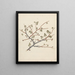 Commiphora gileadensis L. C. Chr. - Luigi Balugani — framed artwork on a wall