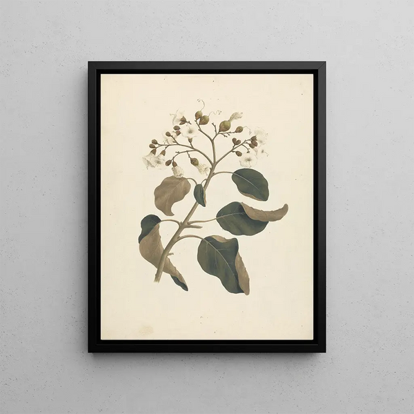 Cœurs abyssins - Luigi Balugani — framed artwork on a wall