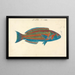 El Hudderi - Luigi Balugani — framed artwork on a wall