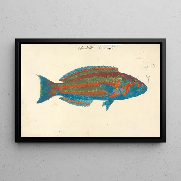 El Hudderi - Luigi Balugani — framed artwork on a wall