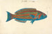 El Hudderi - Luigi Balugani — artwork view