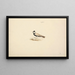 Eremopterix nigriceps - Luigi Balugani — framed artwork on a wall