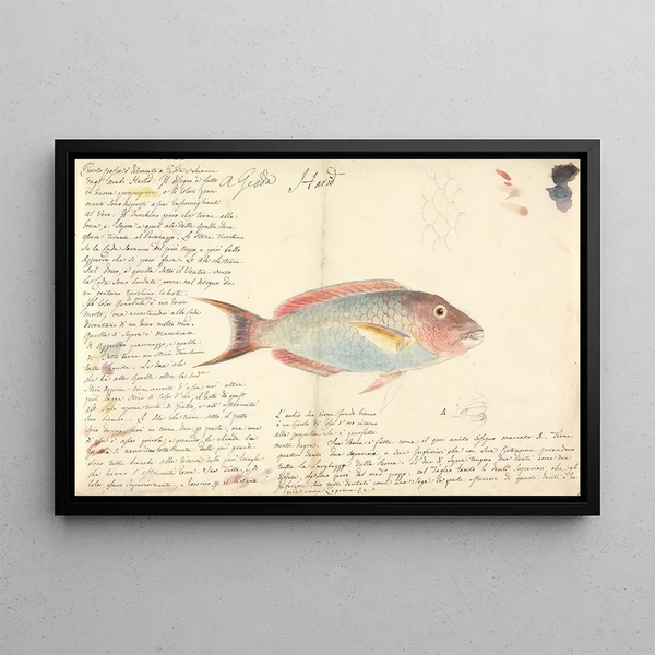 Harid - Luigi Balugani — framed artwork on a wall