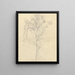 Impatient de Rothii - Luigi Balugani — framed artwork on a wall
