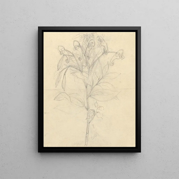 Impatient de Rothii - Luigi Balugani — framed artwork on a wall