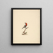 Lybius guifsobalito - Luigi Balugani — framed artwork on a wall