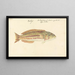 Mullup Painting - Luigi Balugani — framed artwork on a wall