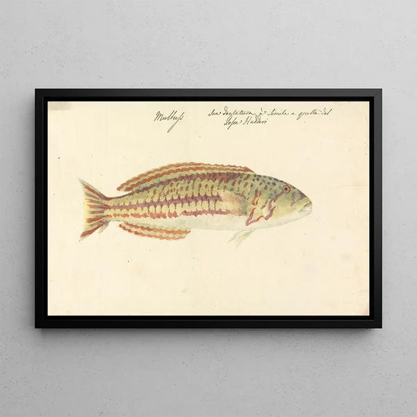 Mullup Painting - Luigi Balugani — framed artwork on a wall