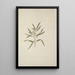 Nuxia oppositifolia Hochst Benth - Luigi Balugani — framed artwork on a wall