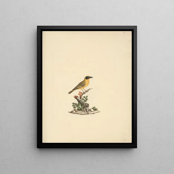 Rainy Eye - Luigi Balugani — framed artwork on a wall