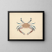Portunus pelagicus - Luigi Balugani — framed artwork on a wall