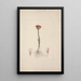 Scadoxus puniceus L FrissNordal - Luigi Balugani — framed artwork on a wall