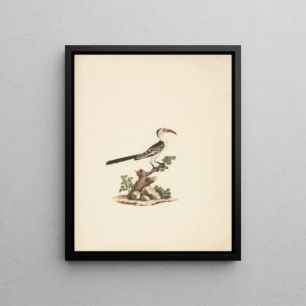 Frappez Jackson - Luigi Balugani — framed artwork on a wall