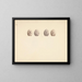 Sand dollar painting unidentified - Luigi Balugani — framed artwork on a wall