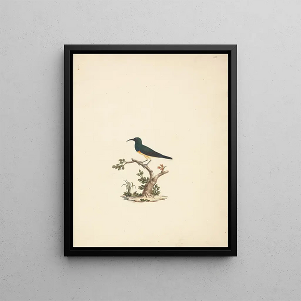 Unidentified Souimanga Painting - Luigi Balugani — framed artwork on a wall