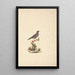 Bird without title - Luigi Balugani — framed artwork on a wall