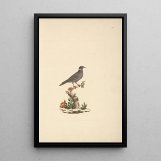 Luigi Balugani - Untitled Bird.webp