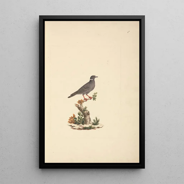 Bird without title - Luigi Balugani — framed artwork on a wall