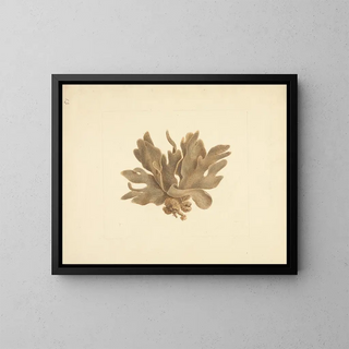 Untitled Painting - Luigi Balugani — framed artwork on a wall