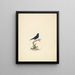 La veuve d'acier - Luigi Balugani — framed artwork on a wall