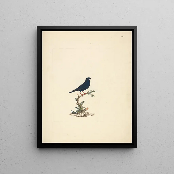 La veuve d'acier - Luigi Balugani — framed artwork on a wall