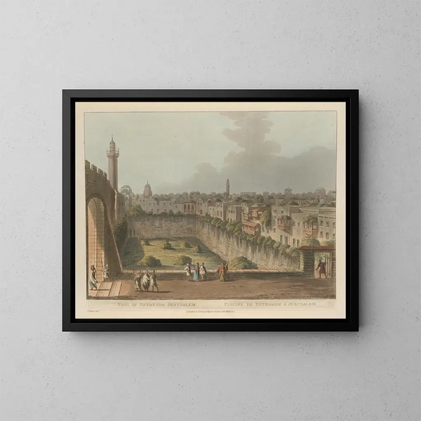Bassin de Bethesda à Jérusalem - Luigi Mayer — framed artwork on a wall