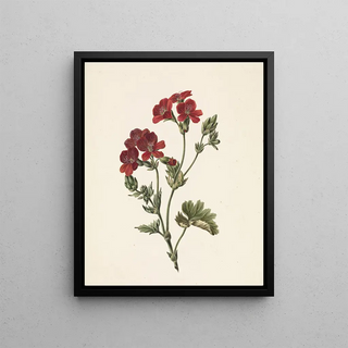 M de Gijselaar - Rode bloem.webp