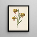 Branch with three yellow lilies - M. de Gijselaar — framed artwork on a wall