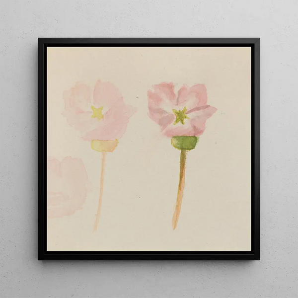 My First Painting - Mary Vaux Walcott — framed artwork on a wall