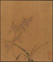 Orchid Flowers - Ma Lin — artwork view