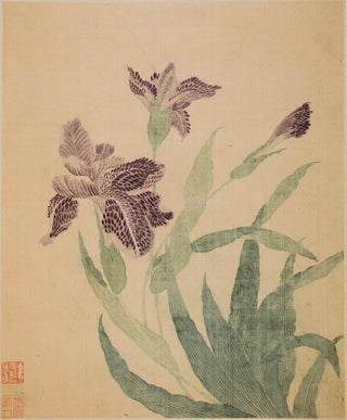 Ma Yuanyu - Irises.webp