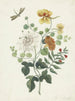 Still life with flowers - Machtelt Moninckx — artwork view